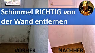 Schimmel RICHTIG von der Wand entfernen [upl. by Hittel645]