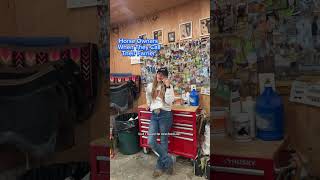 Us Horse owners are so grateful to the farriers of the world horses farrier horsecare comedy [upl. by Sunil]