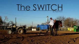 Roping the Switch Sled [upl. by Godard]