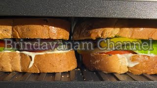 Grilled Panini Sandwich  Veggie Sandwich  Cheese Sandwich [upl. by Nelubez217]