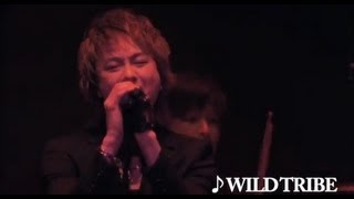 ACE OF SPADES  LIVE映像ダイジェスト [upl. by Maddeu]