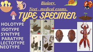 What is Type specimen in biology [upl. by Lucina]