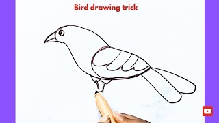 How to draw Bird using C C for beginners  Very Easy tips step by step  tutorial  drawing [upl. by Kristos]