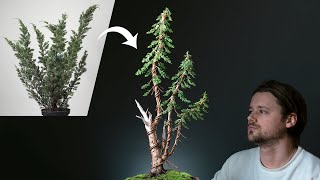 Creating an Instant Bonsai Tree [upl. by Moersch]