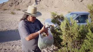 Creosote Bush Tea [upl. by Egiap834]