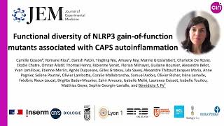 Functional diversity of NLRP3 gainoffunction mutants associated with CAPS autoinflammation [upl. by Walkling]