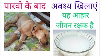 Parvo Virus Recovery Diet Plan for Puppy by DrSKMishra in Hindi [upl. by Sydel]