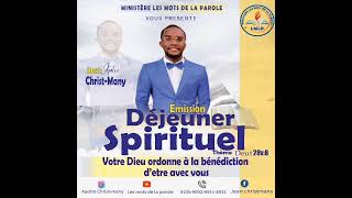 DÉJEUNER SPIRITUEL Lesprit supérieur de Daniel avec Apôtre ChristMany [upl. by Stewart333]