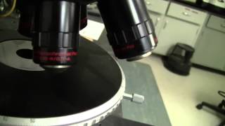 Jenavert Interference Inverted Microscope [upl. by Rfinnej]