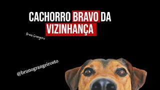 A História do Cachorro Bravo da Vizinhança que Ninguém Acredita [upl. by Salene731]