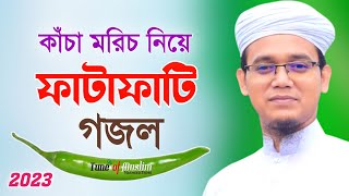 কাঁচা মরিচ নিয়ে ফাটাফাটি গজল Kacha Morich  Kalarab Ghazal  Kolorob Gojol  Ghazal  Islamic Song [upl. by Toille]