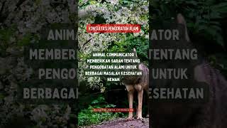 Konsultasi Pengobatan Alami bonding animalcommunicator animalcommunication edukasihewan [upl. by Nosnej]