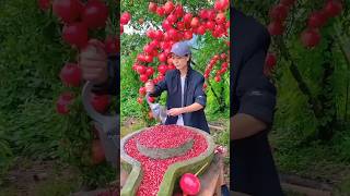 farm fresh fruits satisfyingvideo trendingnow viralvids youtubeshorts shorts [upl. by Wrennie]