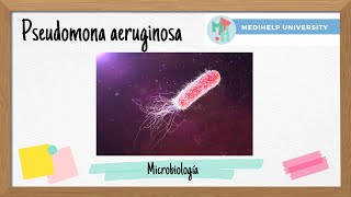 ¿Pseudomonas aeruginosa La bacteria oportunista… [upl. by Rehpotsihrc944]