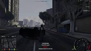 Gta Rp With Bros Put Everybody To Sleep [upl. by Ahselak]