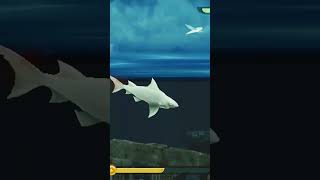 Shark game gameplay [upl. by Meredithe45]