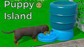 New Puppy Island Shopping  Dogs  And Area [upl. by Heiner]