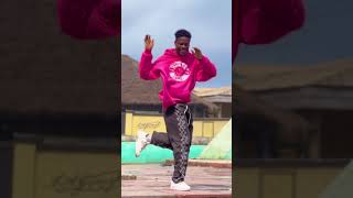 Lomo Lomo Kidi X Black Sherif  Official Dance Video By Active Smarty [upl. by Bodi]