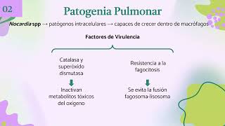 Afectación pulmonar por Nocardia a propósito de un caso [upl. by Julie]