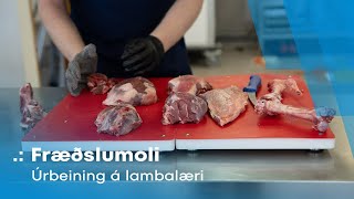 Fræðslumoli  Úrbeining á lambalæri [upl. by Ojeitak295]