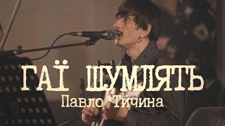 Пиріг і Батіг  Гаї шумлять official live  наживо в Львівській національній філармонії [upl. by Grefe]