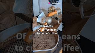 coffee from beans to the cup youtubeshorts liquidsoul facts shorts refreshing top [upl. by Skipton]