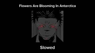 Flowers Are Blooming In Antarctica By Krovic Slowed Version [upl. by Raddatz326]