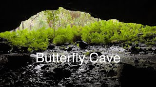 Butterfly Cave  Kununurra [upl. by Gnod]