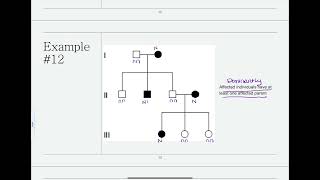 Genetics Example 12  Pedigree Genotypes Dominant [upl. by Nobe302]