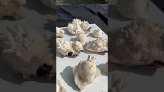 mordenite minerals crystals apophyllite zeolite geology zeolites stilbite gems crystal [upl. by Aronos]