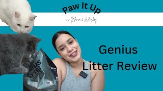 Genius Litter Review [upl. by Haisi167]