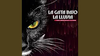 La gata bajo la lluvia [upl. by Mikey]