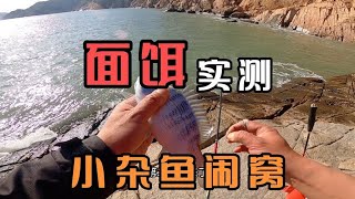 新买的矶钓面饵，现场实测给你看，这种钓饵竟能让黑鲷抢着吃 [upl. by Cindi]