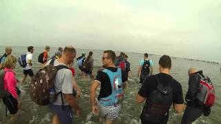 Wadlopen HolwerdAmeland 2014 [upl. by Bina]