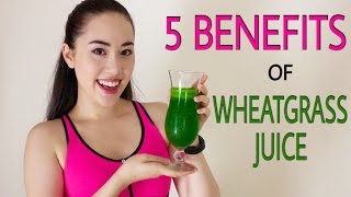 🌿 WHEATGRASS THE MIRACLE SUPERFOOD  Why We All Need To Drink Wheatgrass Juice Daily ☀️ [upl. by Epuladaugairam864]