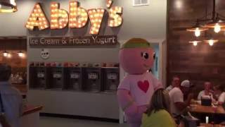 Abbys Ice Cream and Frozen Yogurt Downtown Ellijay GA [upl. by Max]