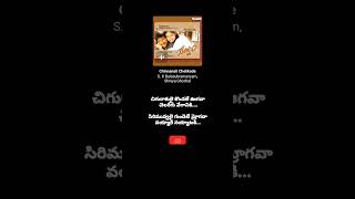 Chinnanati Chelikade Song  Yagnam  Mani Sharma  SP Balasubramanyam  Shreya Ghoshal ytshorts [upl. by Ardnod]