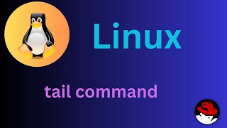 1350 Basic Linux Commands  tail command Explained shortsvideo linux linuxtutorial [upl. by Airolg]