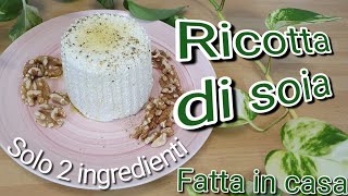 Ricotta di soia vegana fatta in casa con due ingredienti Ricetta di formaggio vegetale facile [upl. by Abby135]