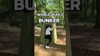 america world war 2 bunker shorts [upl. by Analeh]