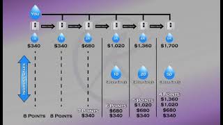 Enagic Compensation Plan [upl. by Welker]