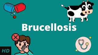 Brucellosis Causes Signs and Symptoms Diagnosis and Treatment [upl. by Leirum]