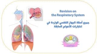 respiratory system اختبار على درس الجهاز التنفسي [upl. by Atarman]