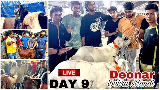 Deonar bakra mandi day 9 latest update 2023 [upl. by Helen]