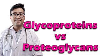 Glycoproteins vs Proteoglycans [upl. by Enilreug]