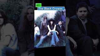 Top 20 Southern Rock Bands Of All Time shorts top rockmusic [upl. by Ahsar]