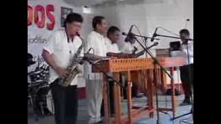 MARIMBA ORQUESTA TROPICAL quotSANTA ROSAquot [upl. by Oiruam]