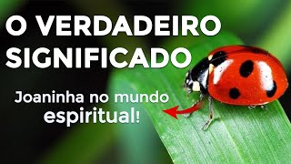 O VERDADEIRO SIGNIFICADO ESPIRITUAL DA JOANINHA Visitou sua casa Entenda [upl. by Ruscio789]