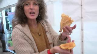 Leslie Jo Meyerhoff discusses the Salmon Waxy Cap at the International Mushroom Fest Killegar 2012 [upl. by Botti]