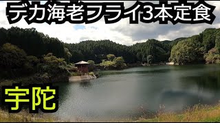 大人気レストランのデカ海老3本フライと巨大溜池【奈良 宇陀市】 [upl. by Kirwin]